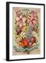 The Conyard and Jones' Co. New Floral Guide, Autumn 1898-null-Framed Art Print