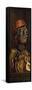 The Cook-Giuseppe Arcimboldo-Framed Stretched Canvas