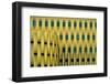 The Cope-Henk van Maastricht-Framed Photographic Print