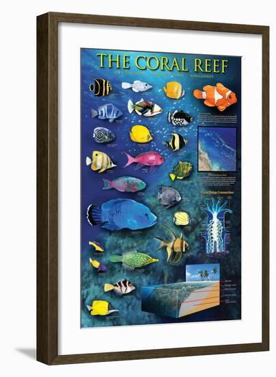 The Coral Reef-null-Framed Art Print