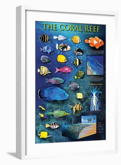 The Coral Reef-null-Framed Art Print