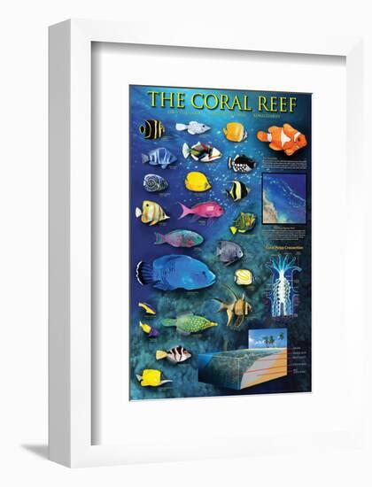 The Coral Reef-null-Framed Art Print