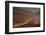 The Cordillera De Sal at Sunrise in the Atacama Desert of Northern Chile-Sergio Ballivian-Framed Photographic Print