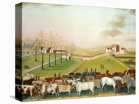 The Cornell Farm, 1848-Edward Hicks-Stretched Canvas