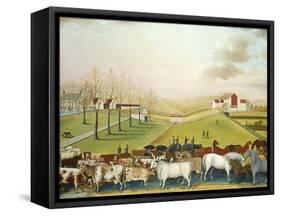 The Cornell Farm, 1848-Edward Hicks-Framed Stretched Canvas