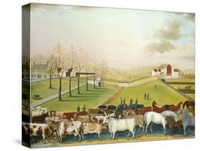 The Cornell Farm, 1848-Edward Hicks-Stretched Canvas