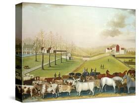 The Cornell Farm, 1848-Edward Hicks-Stretched Canvas