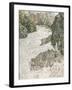 The Corner of the Park, 1888-Vincent van Gogh-Framed Giclee Print