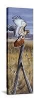 The Corner Post - Red Tailed Hawk-Wilhelm Goebel-Stretched Canvas