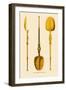 The Coronation Spoon-H. Shaw-Framed Art Print