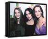 The Corrs-null-Framed Stretched Canvas