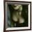 The Corsage, no. 2-Monika Brand-Framed Photographic Print