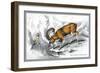 The Corsican Musmon-John Stewart-Framed Art Print