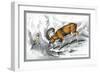 The Corsican Musmon-John Stewart-Framed Art Print