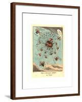 The Corsican Spider in His Web, Published 1808, Hand-Colored Etching, Rosenwald Collection-Thomas Rowlandson-Framed Giclee Print