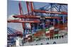 The Cosco Beijing in Hamburg, Germany-Dennis Brack-Mounted Photographic Print