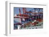 The Cosco Beijing in Hamburg, Germany-Dennis Brack-Framed Photographic Print