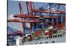 The Cosco Beijing in Hamburg, Germany-Dennis Brack-Stretched Canvas