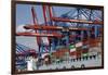 The Cosco Beijing in Hamburg, Germany-Dennis Brack-Framed Photographic Print