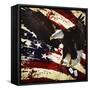 The Cost of Freedom-Jason Bullard-Framed Stretched Canvas