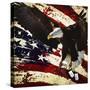 The Cost of Freedom-Jason Bullard-Stretched Canvas