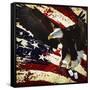 The Cost of Freedom-Jason Bullard-Framed Stretched Canvas