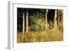 The Cottage Amongs The Birch Trees-Berthe Morisot-Framed Art Print