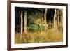 The Cottage Amongs The Birch Trees-Berthe Morisot-Framed Art Print