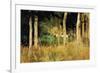 The Cottage Amongs the Birch Trees-Berthe Morisot-Framed Premium Giclee Print