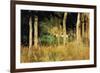 The Cottage Amongs the Birch Trees-Berthe Morisot-Framed Art Print