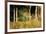 The Cottage Amongs the Birch Trees-Berthe Morisot-Framed Art Print