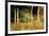 The Cottage Amongs the Birch Trees-Berthe Morisot-Framed Art Print