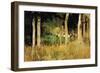 The Cottage Amongs the Birch Trees-Berthe Morisot-Framed Art Print