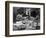 The Cotton Club, 1930's-Science Source-Framed Giclee Print