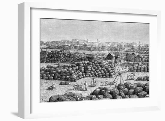 The Cotton Market at Bombay, India, 1895-null-Framed Giclee Print