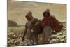 The Cotton Pickers-Winslow Homer-Mounted Giclee Print