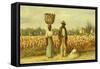 The Cotton Pickers-William Aiken Walker-Framed Stretched Canvas
