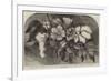 The Cotton Plant-null-Framed Giclee Print