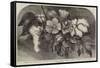 The Cotton Plant-null-Framed Stretched Canvas