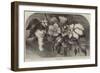 The Cotton Plant-null-Framed Giclee Print