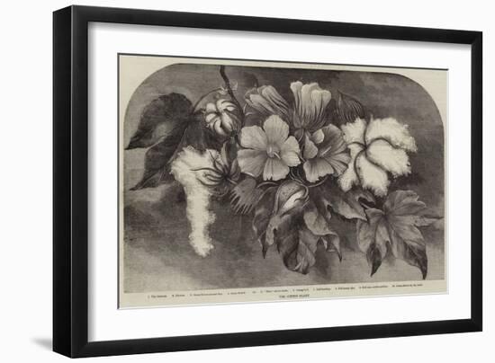 The Cotton Plant-null-Framed Giclee Print