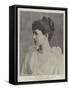 The Countess of Minto-null-Framed Stretched Canvas