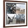 The Country IV-Sidney Aver-Framed Art Print