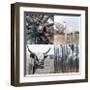 The Country IV-Sidney Aver-Framed Giclee Print