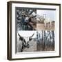 The Country IV-Sidney Aver-Framed Giclee Print