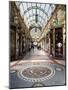 The County Arcade in the Victoria Quarter, Leeds, West Yorkshire, Yorkshire, England, UK, Europe-Mark Sunderland-Mounted Photographic Print