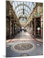 The County Arcade in the Victoria Quarter, Leeds, West Yorkshire, Yorkshire, England, UK, Europe-Mark Sunderland-Mounted Photographic Print