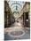 The County Arcade in the Victoria Quarter, Leeds, West Yorkshire, Yorkshire, England, UK, Europe-Mark Sunderland-Mounted Photographic Print