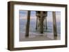 The County Pier in Panama City, Florida, Panama City Beach-Marco Isler-Framed Photographic Print