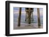 The County Pier in Panama City, Florida, Panama City Beach-Marco Isler-Framed Photographic Print